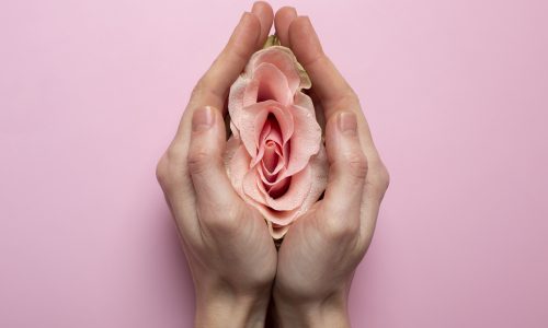 woman holding rose hands reproductive system visualization scaled